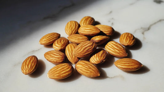 Marcona Almonds Jerky Nation