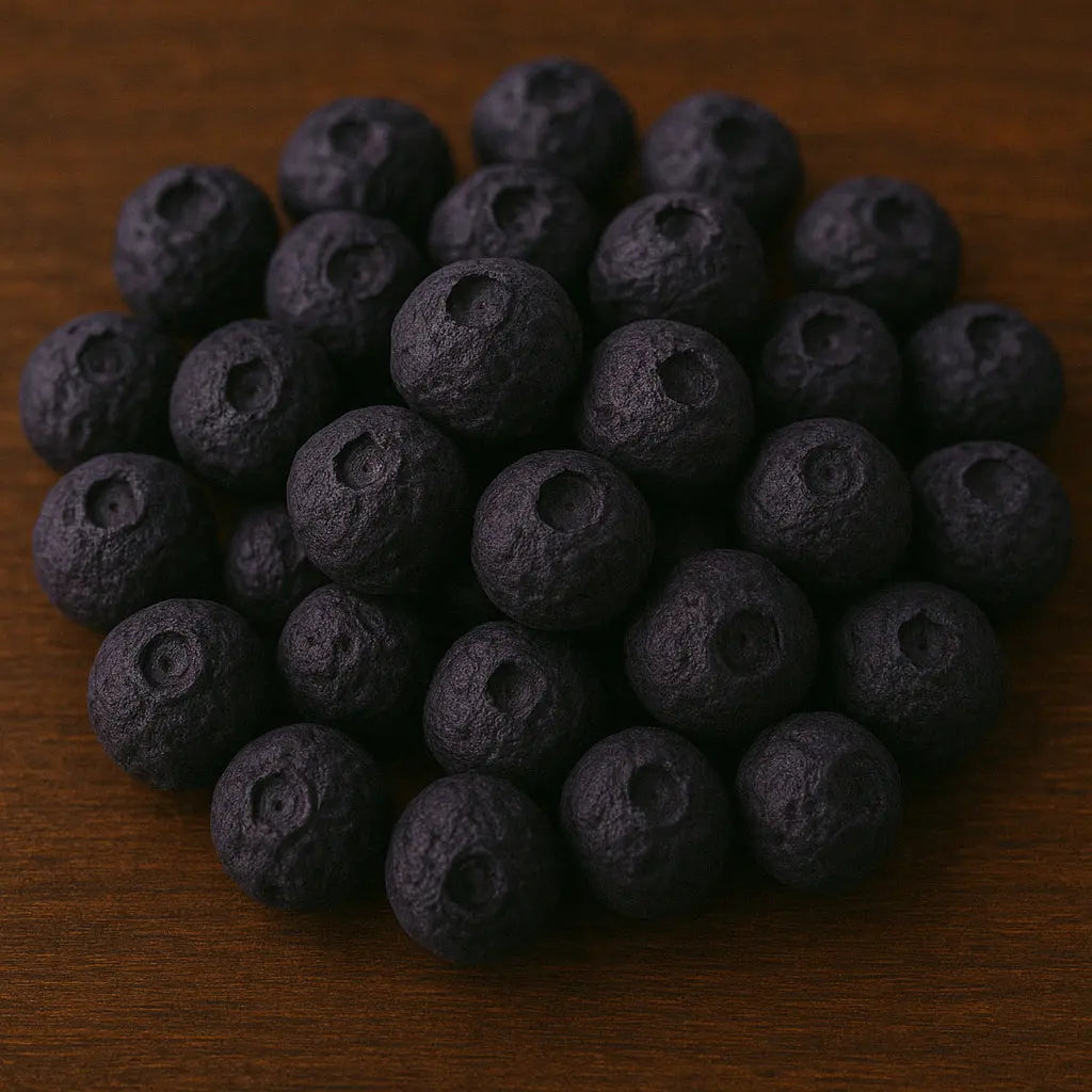 Freeze Dried Blueberries Jerky Nation