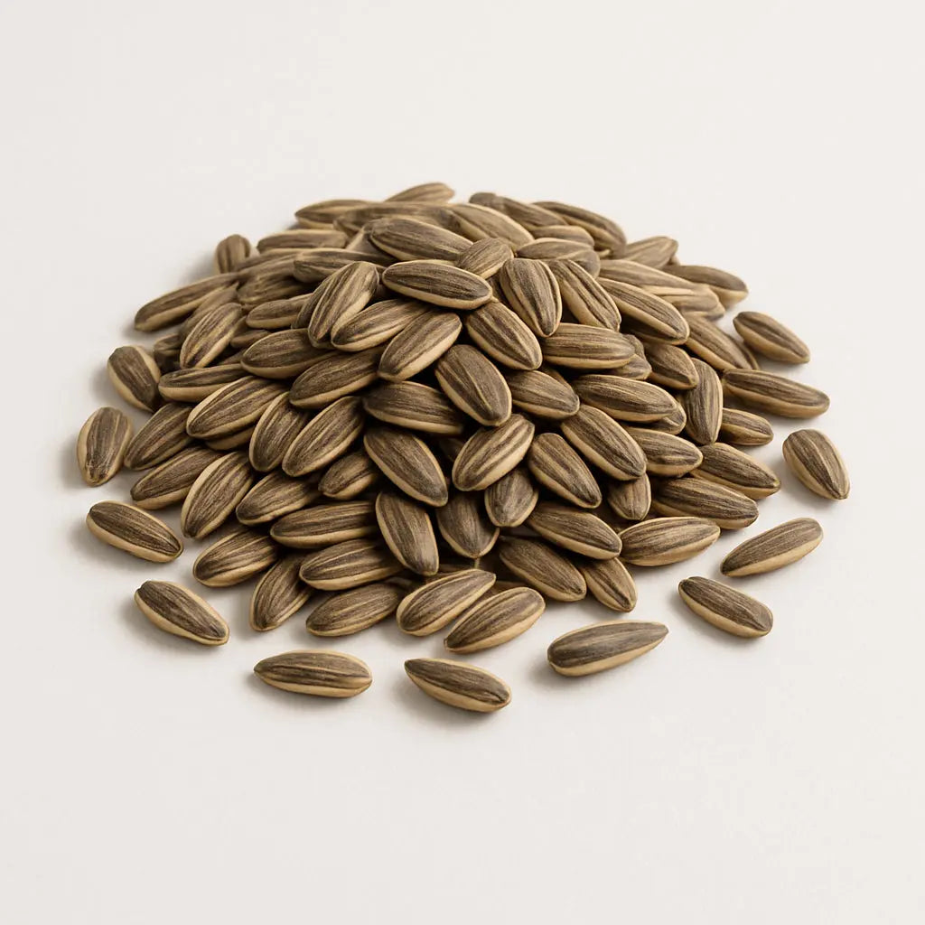 Sunflower Seeds Jerky Nation